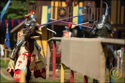 Quel roi a &eacute;t&eacute; tu&eacute; durant une joute &eacute;questre du Moyen &Acirc;ge ?