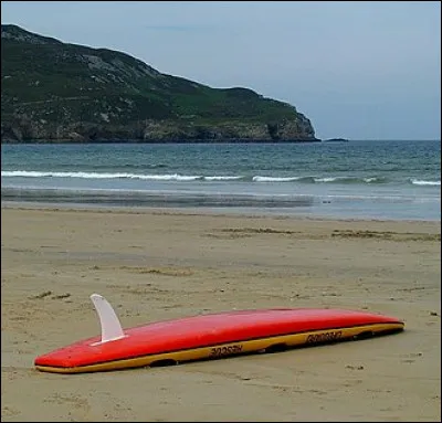Quel livre a reçu le prix Médicis en 1991 ?
