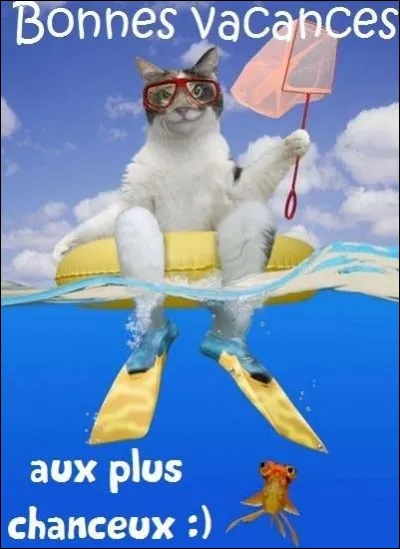 Les juillettistes sont rentrés. À vous, les aoûtiens de profiter des plages de Saint-Tropez et de chanter : 
''C'est au mois d'août qu'on met les bouts,
Qu'on fait les fous, les gros matous, les sapajous.
C'est l'été, les vacances, le soleil doux, doux, doux, doux...''.
Qui vous dit ''le plus dur à Saint-Trop' c'est d'dégauchir des p'tites minettes...'' dans sa chanson ''Cest au mois daoût'' ?