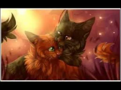 Un beau jour, tu te rends compte que celle que tu aimais attend les chatons d'un autre que toi, comment réagis-tu ?