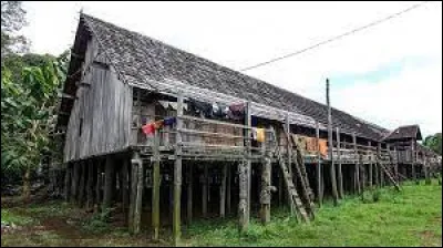 Peuple indigène de l'île de Bornéo :