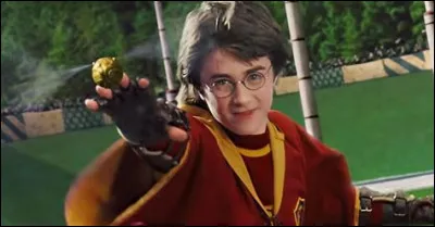 Quel est ton pire défaut ?