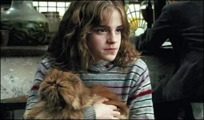 Pourquoi Hermione est-elle peu présente avec Harry et Ron durant leur 3e année ?
