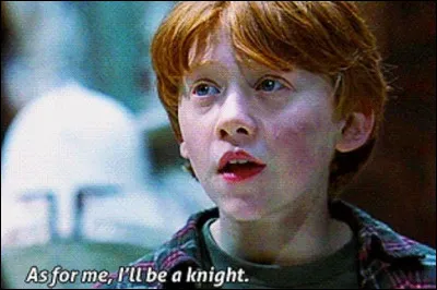 Dans HP1 : Combien de point lui accorde Dumbledore pour la plus belle partie d'échecs jouée à Poudlard ?