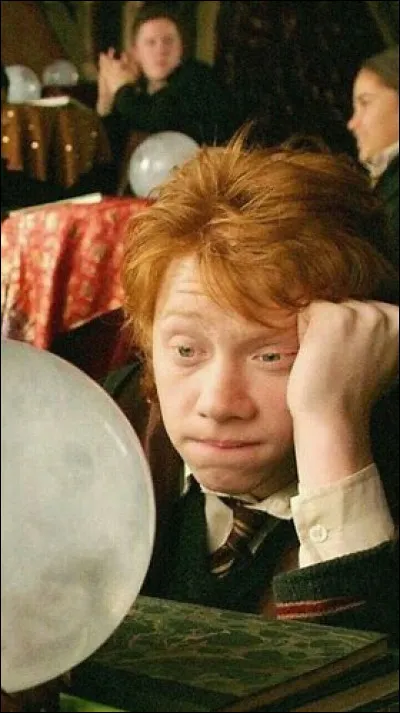 Dans HP3, quel avenir prédit-il à Harry ?