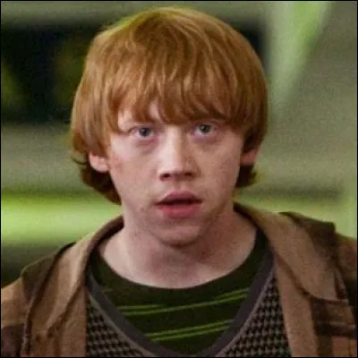 Lors de la chasse aux horcruxes que fait-il chaque matin ?