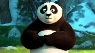 Quel est le nom de famille de Po, le personnage principal ?