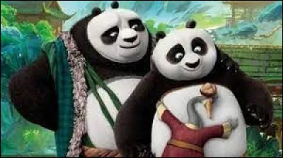 Qui est venu chercher Po, après 20 ans ?