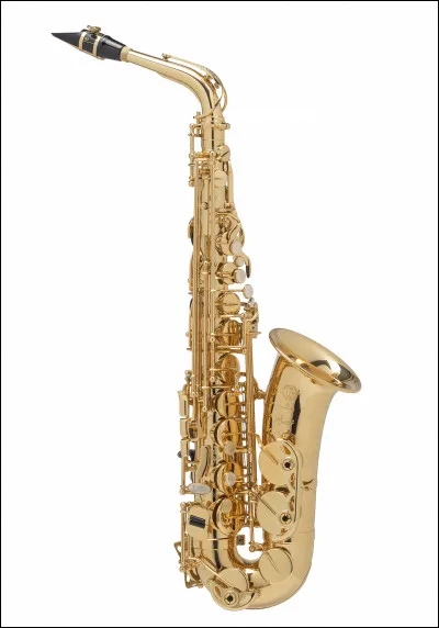 Comment s'appelle cet instrument ?