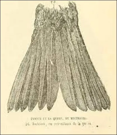 Que faire avec un "demi-queue" ?