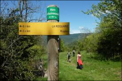 Tu vois un sentier de randonnée devant toi, le panneau d'affichage indique que le parcours fait 20 km à pied. Que décides-tu de faire ?