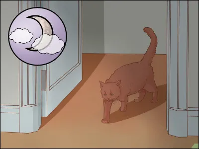 Es-tu déjà sorti en cachette ?
