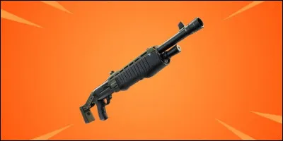 Quel est le nom de cette arme ?