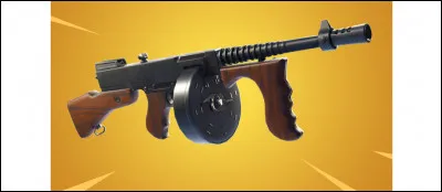 Quel est le nom de cette arme ?