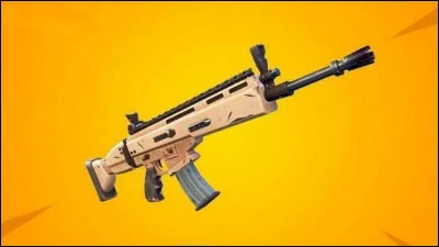 Quel est le nom de cette arme ?