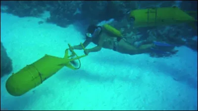 "Le Monde du silence" est un film documentaire r&eacute;alis&eacute; par Jacques-Yves Cousteau et Louis Malle.
