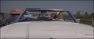 "La Dame dans l’auto avec des lunettes et un fusil" est un film réalisé par Anatole Litvak, sorti en 1970. Qui a écrit ce roman policier ?