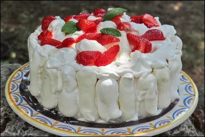 Quelle est cette pâtisserie composée de meringue fourrée, de crème glacée avec des fruits et de la crème chantilly ?