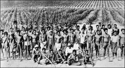 Du coup, très colères que l'on touchât à "leurs peuples", les troupes [...de quelle puissance ?...] réagissent et capturent, sur l'île de Rapa Iti, l'un de ces "captain-raptors", nommé [... ?...].