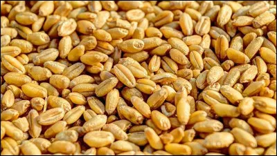 Regardez-le pousser !