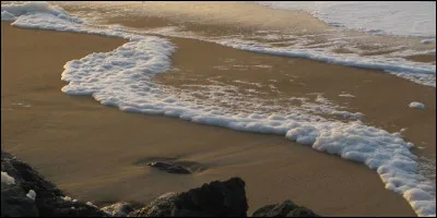 Elle peut vous venir aux l&egrave;vres de rage !