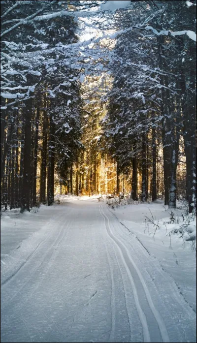 Tu préfères une maison...