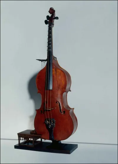 Quel nom d'instrument de musique est du genre féminin ?