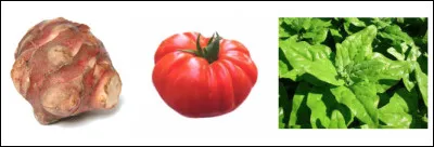 Quel nom de légume est du genre masculin ?