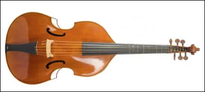 Quel nom d'instrument de musique est du genre masculin