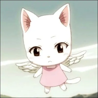 Quel est le pr&eacute;nom de ce chat ?