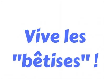 Choisis une bêtise.