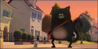 Dans "Splat et Harry", lequel des deux est le chat ?