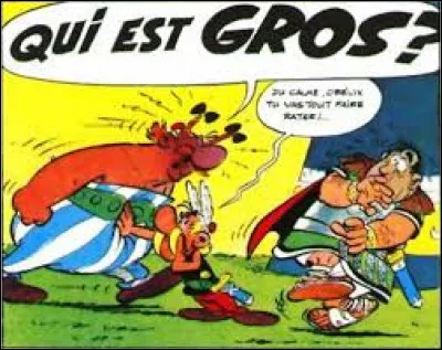 Qui était donc la très connue "Grosse Bertha" ?