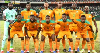 Comment sont surnommés les joueurs de l'équipe de Côte d'Ivoire ?
