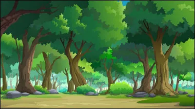 Tu décides finalement daller dans la forêt. Tu marches un long moment puis tarrêtes brusquement. Tu as limpression dêtre observé. Que fais-tu ?