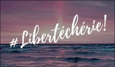 Quel chanteur fran&ccedil;ais a sorti l'album "Libert&eacute; ch&eacute;rie" en 2017 ?