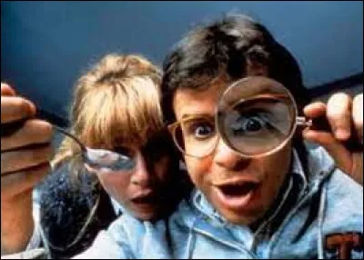 En quelle ann&eacute;e est sorti le film "Ch&eacute;rie, j'ai r&eacute;tr&eacute;ci les gosses" ?