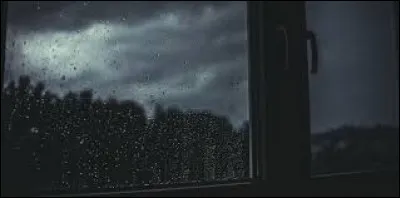 Lequel de ces mots a le même sens que le mot "mourir" ?