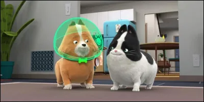 Qui est l'agent Blinky, le protecteur de l'univers dans le dessin anim&eacute; du m&ecirc;me nom ?