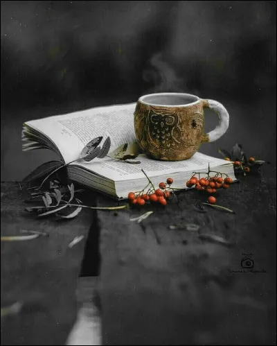 Qui est l'écrivain du roman "Que ma joie demeure" ?