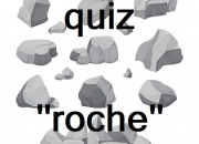Quiz Quiz ''roche'