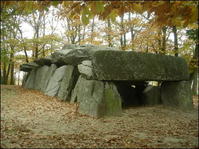 Dans quel département le dolmen de ''La Roche-aux-Fées'' est-il situé, sachant que ce département est le 35 ?