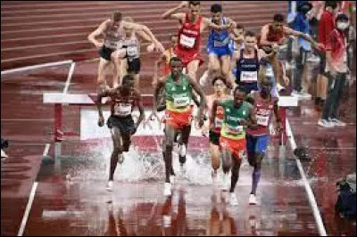 Il s'agit d'une course de demi-fond avec des obstacles.