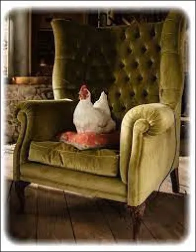 Dans la liste proposée, qui serait donc "la poule de luxe" ?