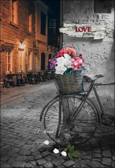 Qui a écrit le roman "Rue des boutiques obscures" ?