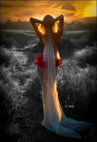 Quel grand peintre impressionniste a réalisé la toile "Impression, soleil levant" ?