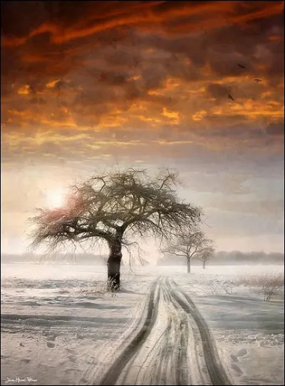 Quand Sardou chantait "La neige, la neige était recouverte de boue", dans quelle ville se déroulait l'histoire, dans laquelle "un musicien assassinait Mozart" ?