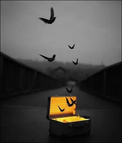 Qui chantait "Dis-toi qu'il ne reviendra pas, et ça fait marrer les oiseaux qui s'envolent" ?