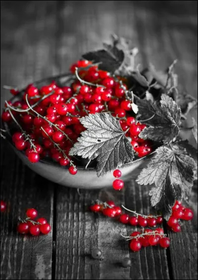 Comment se nomme ce fruit dans la langue anglaise ?