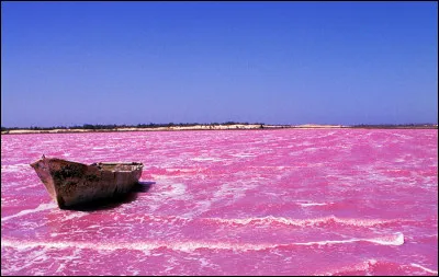 Quel est ce lac du S&eacute;n&eacute;gal situ&eacute; pr&egrave;s de Dakar dont les eaux sal&eacute;es sont color&eacute;es par des algues qui fabriquent un pigment de la famille des carot&egrave;nes ?